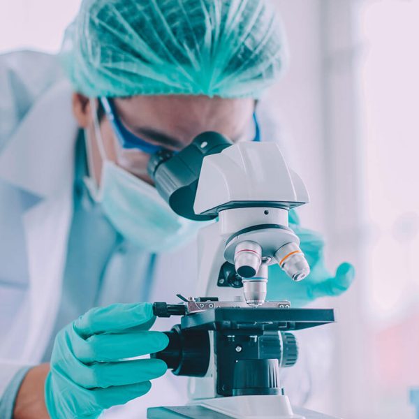 studiu microscop studiu microscop